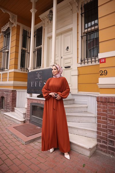 KADEEM Brick Color Balloon Sleeve Elastic Standard Dress