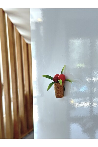 Mushroom Magnet- Kokina