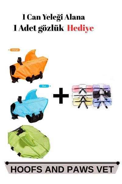 kingfriend Dog Life Jacket Green (S) with Sunglasses Gift