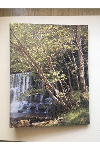 Çınar A4 4 Cm. 2 Halkalı Manzaralı Klasör