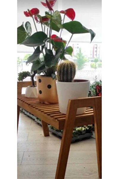 Genel Markalar Ahşap Kahverengi Saksılık ve Çiçeklik Düzenleyici Raf Sehpa