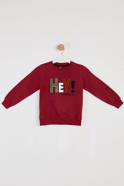 TOFİSA Boy's Claret Red Printed Sweatshirt - 26440