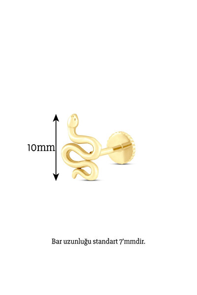 Safir Kuyumculuk Yılan Piercing-tragus