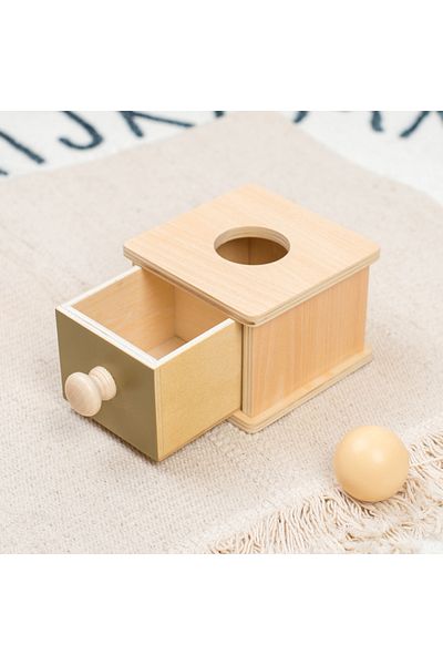 Choice Ball Box Montessori Infant Wooden Toys Coin Ball Busy Drum Color Shape Cognition Match Educational S