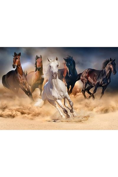 Ks Games Wild Horses 1000 Piece Puzzle