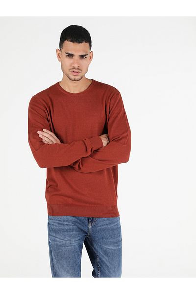 Colin's Crew Neck Men's Cinnamon Sweater - Regular Fit Cl 1051445