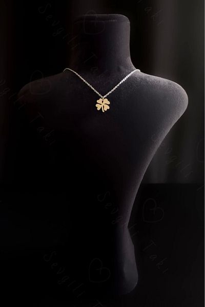 SEVGİLİ TAKI Clover Charm Steel Necklace - Miracle Series