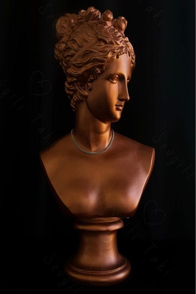 SEVGİLİ TAKI Thin Gourmet Steel Chain Choker Necklace - Series