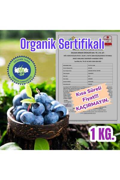 balkanberries Taze Yaban Mersini Meyvesi Organik Sertifikalı Blueberry 1 Kilo
