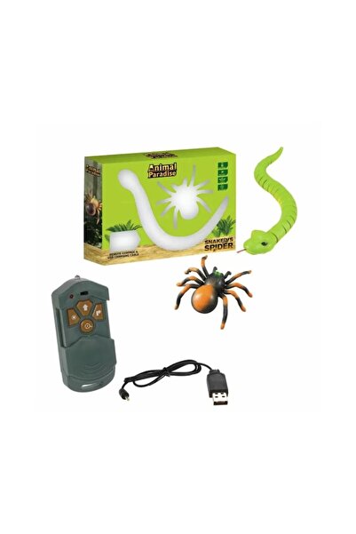 indiggo Set Interactive Toys for Children, Snake and Spider with Remote Control
