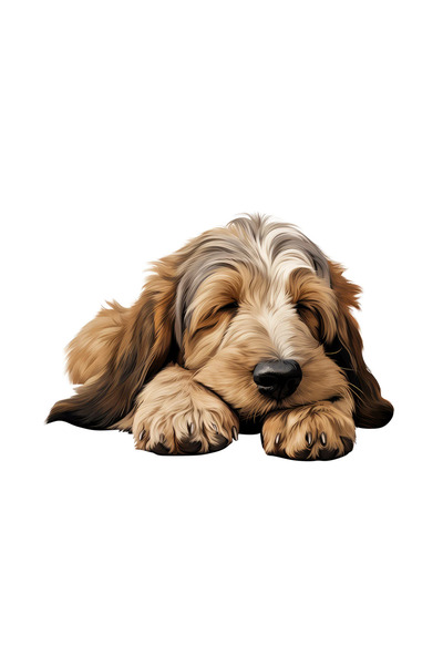 INOVATIX Set de 8 piese, autocolant Grand Basset Griffon Vendeen, INOVATIX®. ...