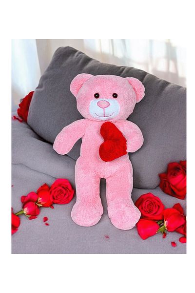 Canestar Plush Teddy Bear with Heart - Very Special Heart Gift Plush Teddy Bear for Lover