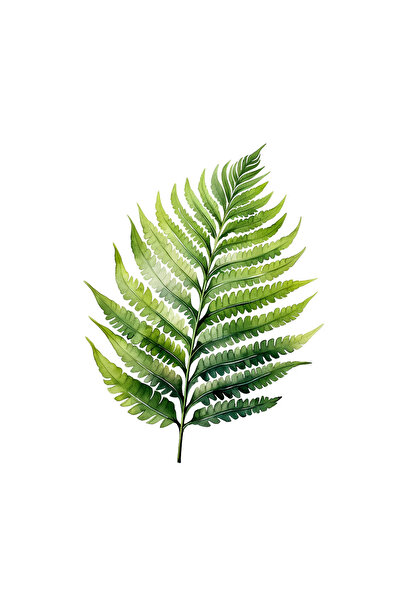 INOVATIX Set de 8 bucăți, autocolant cu frunze de ferigă ondulate, INOVATIX®....