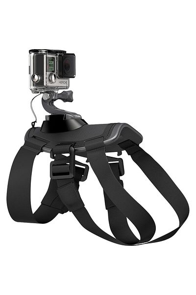 GoPro Adjustable GoPro sports video camera harness for dogs