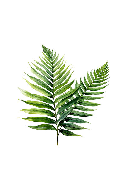 INOVATIX Set de 8 autocolante cu frunze de ferigă pe tulpină, INOVATIX®. 6 cm