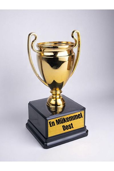 lili hediyelik The Best Perfect Friend Printed Award Achievement Championship Trophy