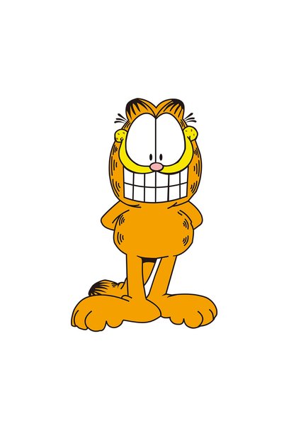 INOVATIX Set of 8 pieces, Garfield smiling sticker, INOVATIX®. 6 cm