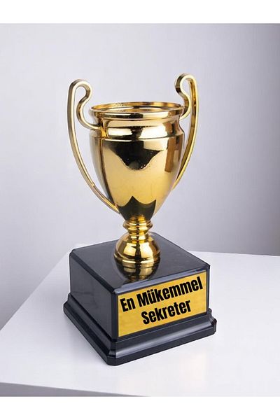 lili hediyelik The Best Perfect Secretary Printed Award Achievement Championship Trophy
