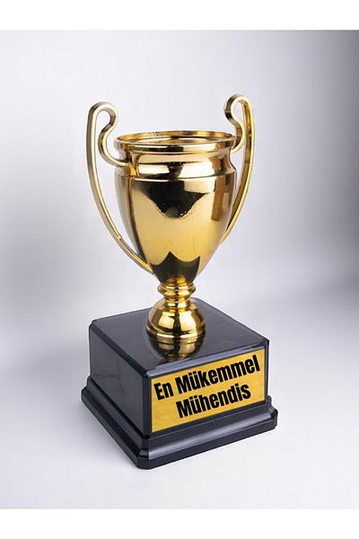 lili hediyelik The Best Perfect Engineer Printed Award Achievement Championship Trophy