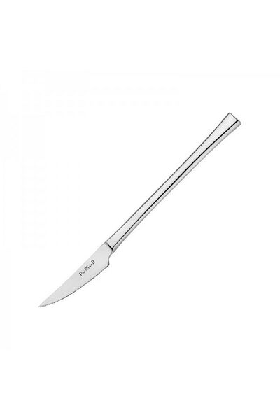 Pintinox Set of 6 dessert knives, Pintinox Concept, 21 cm