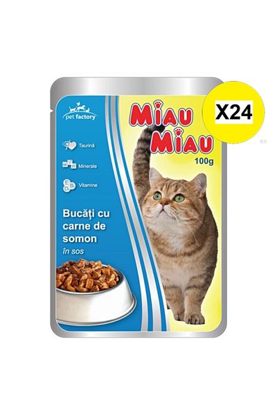 MIAU MIAU X24 - MIAU MIAU CAT FOOD IN SAUCE SALMON 100G BAG