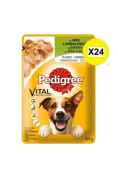 Pedigree X24 - PEDIGREE PLIC 100G MIEL