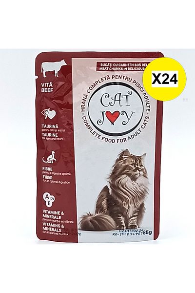 CATJOY X24 - CAT JOY HRANA PISICI IN SOS PLIC 85G VITA