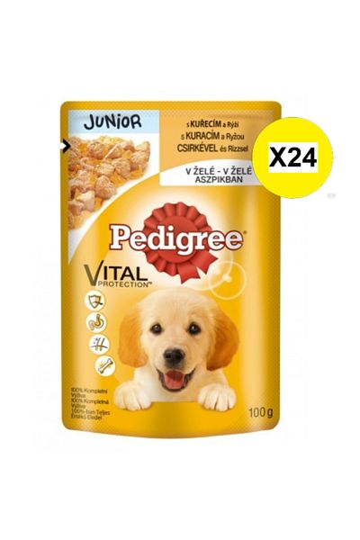 Pedigree X24- PEDIGREE PLIC JUNIOR 100G PUI OREZ
