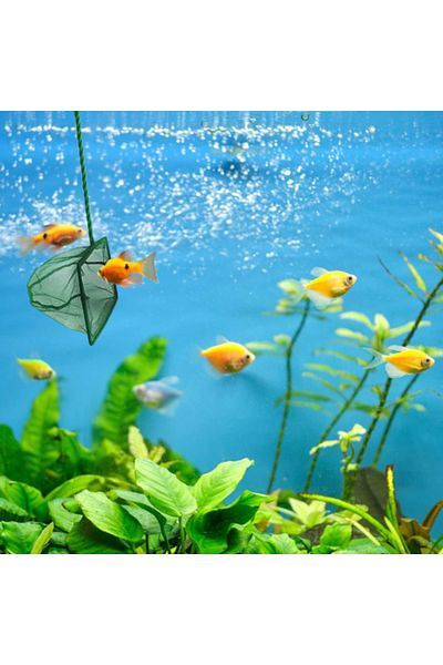 Myvora Aquarium Fish Scoop 7.5 Cm