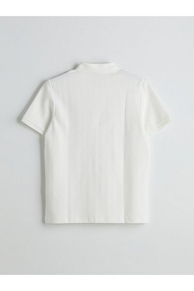 LC Waikiki Ανδρικό μπλουζάκι με υφή Polo Neck