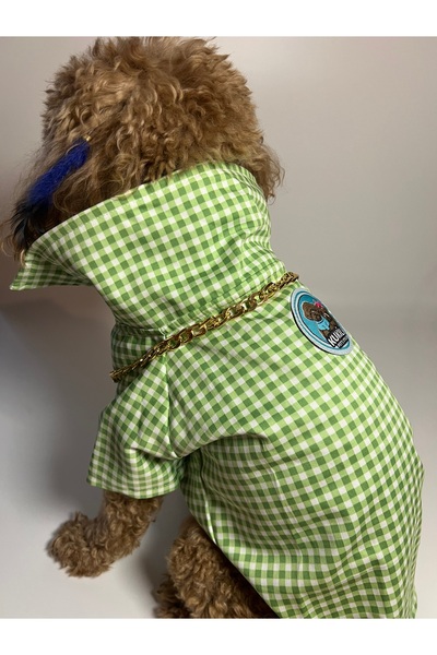 Butik Köpek gömlek yeşil