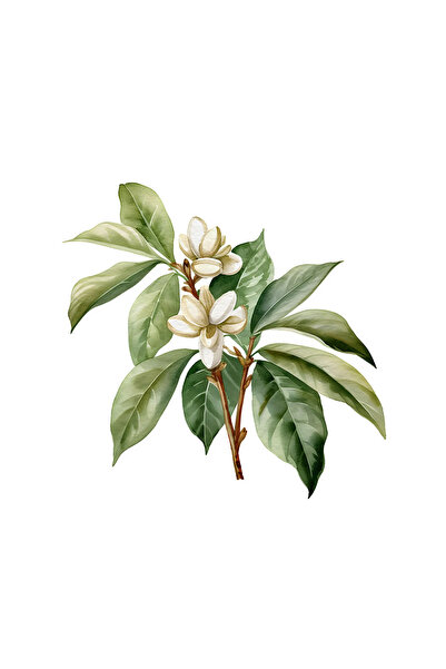 INOVATIX Σετ 8 τεμαχίων, Αυτοκόλλητο Κλαδί με άνθη καφέ, INOVATIX®. 6 εκ.