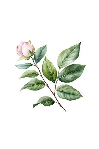 INOVATIX Set de 8 autocolante cu flori roz singuratice, INOVATIX®. 6 cm