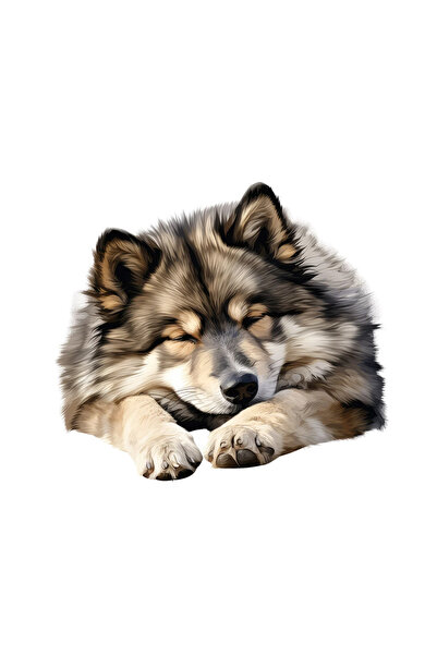 INOVATIX Set de 8 piese, autocolant finlandez Lapphund, INOVATIX®. 6 cm