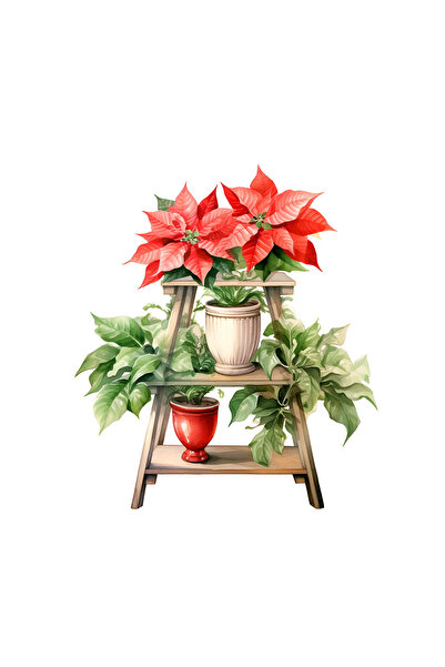 INOVATIX Set de 8 autocolante Flori de Crăciun Sophia, INOVATIX®. 6 cm