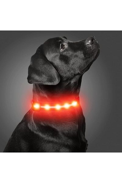 Dynmeow dog collar, LED, nylon, black/red, size S