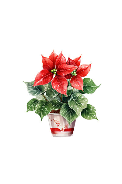 INOVATIX Σετ 8 τεμαχίων, Χριστουγεννιάτικο αυτοκόλλητο με λουλούδια Άννα, INO...