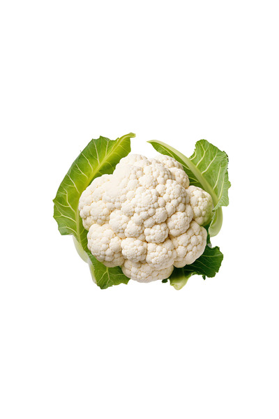 INOVATIX Set de 8 bucăți, autocolant conopidă, INOVATIX®. 6 cm