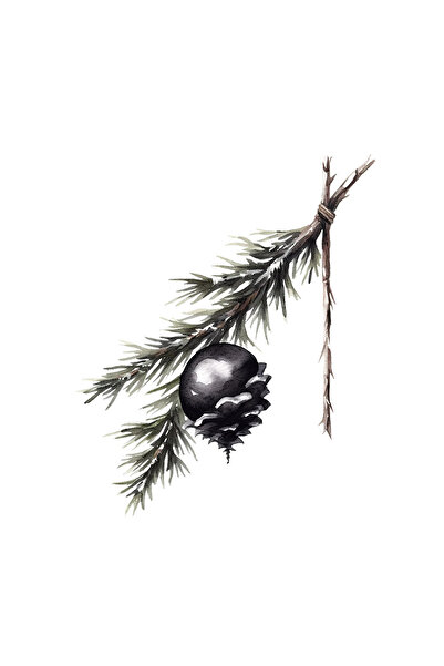 INOVATIX Set de 8 piese, autocolant creangă de brad de Crăciun cu glob negru,...