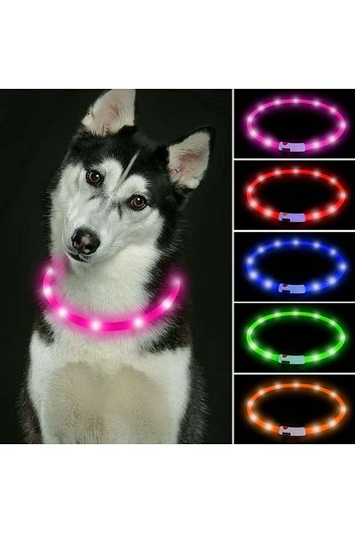 Kpuplol Rechargeable Lighted Dog Collar, Usb, Tpu, Pink, Size M