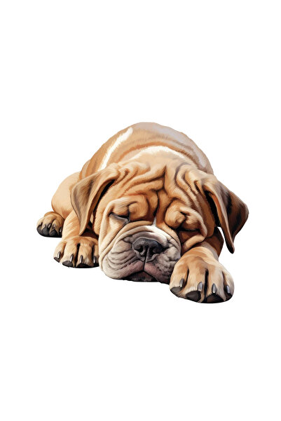 INOVATIX Set de 8 piese, autocolant Bulldog, INOVATIX®. 6 cm