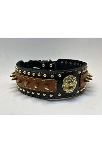 Brs Kangal ve Büyük Irk Köpek Tasması