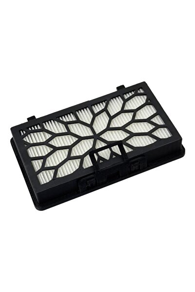 Parmis Filtru pentru aspirator compatibil Electrolux ECC21-2IW, pâslă și case...