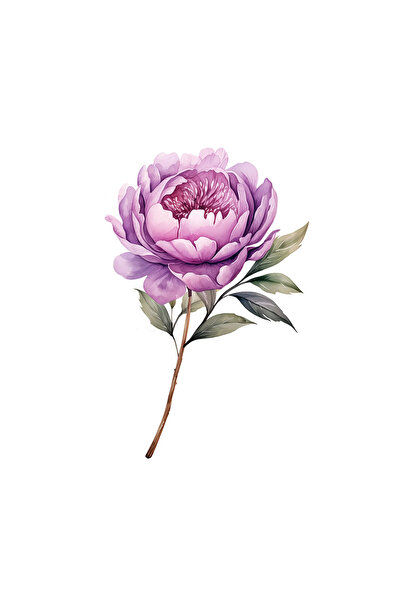 INOVATIX Set de 8 bucăți, autocolant bujor cu coadă lungă, INOVATIX®. 6 cm