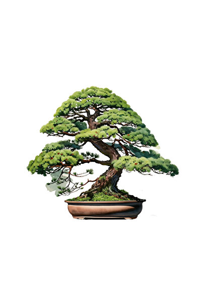 INOVATIX Set de 8 piese, autocolant Bonsai Master, INOVATIX®. 6 cm