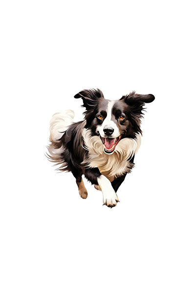 INOVATIX Set de 8 piese, autocolant Border Collie alergând, INOVATIX®. 6 cm