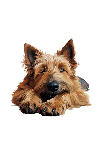 INOVATIX Set of 8 pieces, Sticker Berger Picard, INOVATIX®. 6 cm