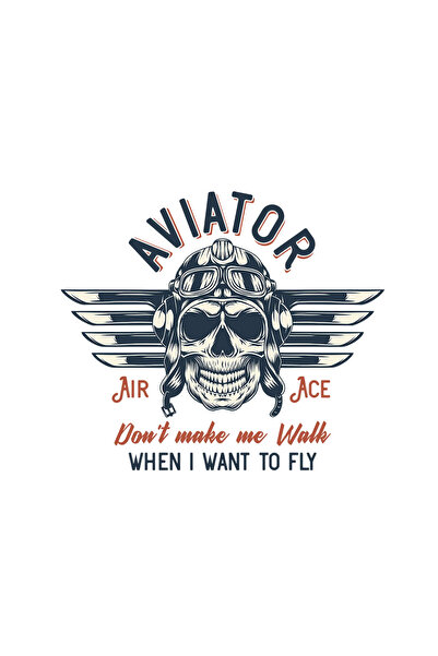 INOVATIX Set de 8 piese, Autocolant Aviator Air Ace, nu mă face să merg când ...