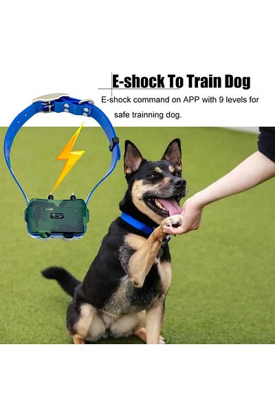 oem home GPS training collar for hunting dogs 4G IK122T with correction device