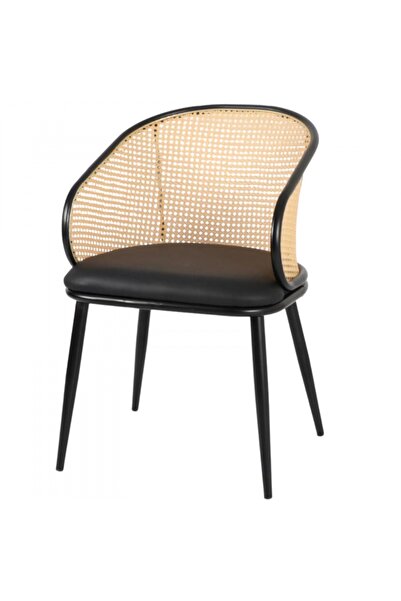 rexa Dining Chair with Arms, Modern Kitchen Chairs, Bar Chair with Back, Coffee Chairs for Living Room